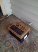 A lonely box on my doorstep